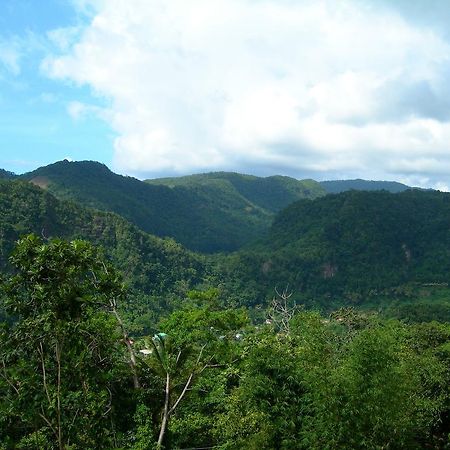 Roxys Mountain Lodge Laudat ภายนอก รูปภาพ
